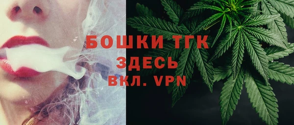 твердый Заводоуковск